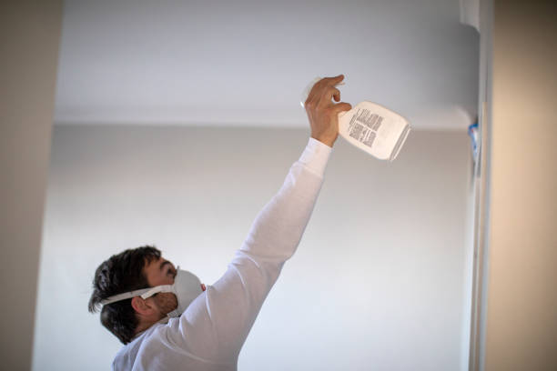 Certified Mold Removal in Osakis, MN