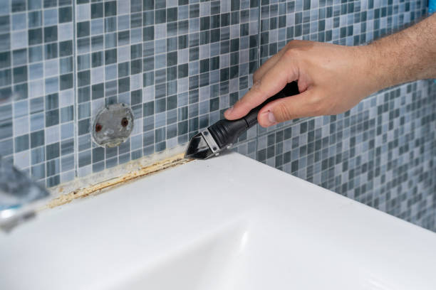 Best Professional Mold Removal  in Osakis, MN